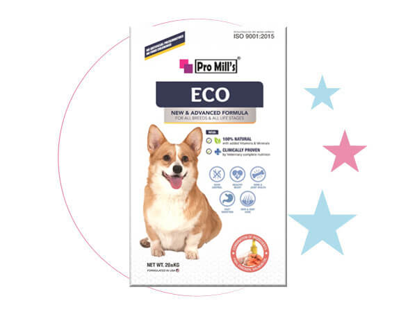 01-dog_promill's-dog-eco-20kg_s